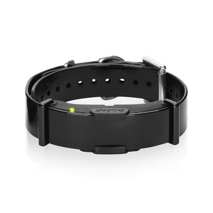 Dogtra E-trainingsband ARC800